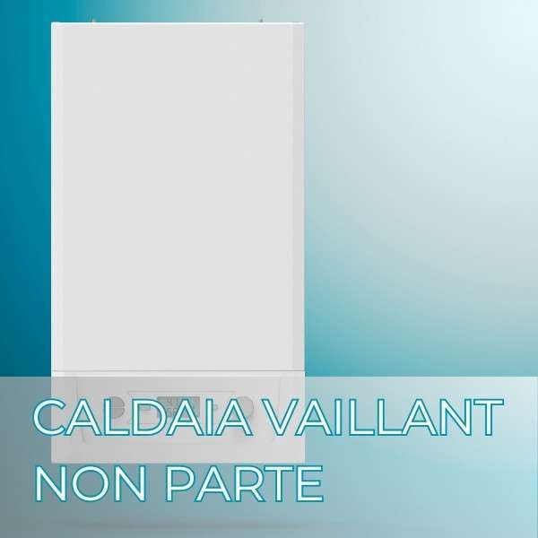 caldaia vaillant non parte